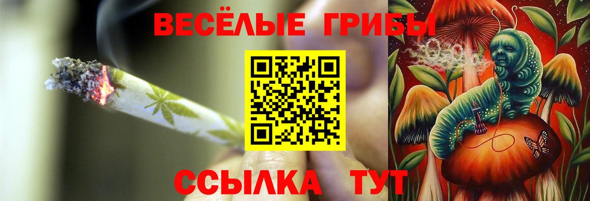 продажа наркотиков  Вход с VPN  Галлюциногенные грибы прущие грибы  Пугачёв  Псилоцибиновые грибы Psilocybine cubensis 
